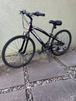 Kids 24 inch Diamond Back