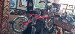 Maxarya Ray 1