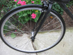KHS Urban Soul 46cm 1-sp fixed gear flip-flop hub 700x28c tire fixie