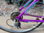 Electra Verse 21 speed