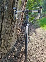 Specialized 2015 Dolce Elite EQ