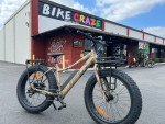 Surface 604 Boar Hunter Electric Fat Tire Bike SPRING SALE