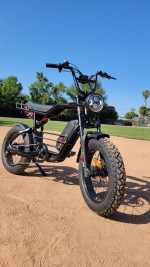 Monster Electric Bike