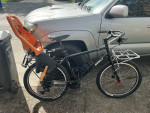 Surly troll large
