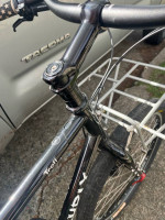 Surly troll large
