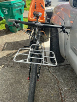 Surly troll large