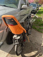 Surly troll large