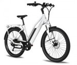Surface 604 Rook S/T 20AH Electric Bike SPRING SALE!