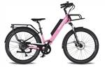 Surface 604 V-Shape Rook Thru 20AH Electric Bike SPRING SALE