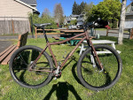 18" Bront Willy Steel 29er Singlespeed Mountain Bike