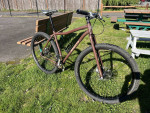 18" Bront Willy Steel 29er Singlespeed Mountain Bike