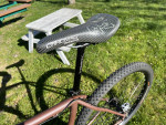 18" Bront Willy Steel 29er Singlespeed Mountain Bike