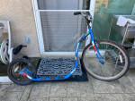Kick Scooter