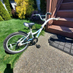Go Pilot. Wee Ride. Treler BIKE