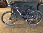 GT Laguna Mountain Bike
