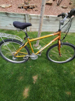16" Schwinn Sierra