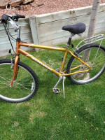 16" Schwinn Sierra