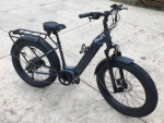 Biktrix Juggernaut Hub Duo Electric Fat Tire Bike