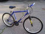 Magna Electroshock 18 Speed Mountain Bike