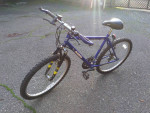 Magna Electroshock 18 Speed Mountain Bike