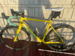 Santa Cruz Stigmata 2017