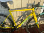 Santa Cruz Stigmata 2017