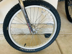 Old School Mongoose BMX