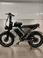 2000Watt Electric Dual Motor Fat Tire Ebike, 30mph, Full Suspension