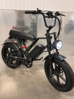 1000 Watt Electric Fat Tire Ebike, 20ah battery, 33mph, 30-60 mile range
