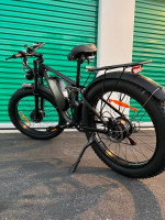 Dual Motor 2000Watt Electric Fat Tire Mountain Bike/Full Suspension/33mph