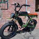 750W Dual Battery+Dual Rider Electric Ebike, 33-35mph, 80 Mile Range