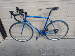 Gunnar Roadie - 580mm - Reynolds 853 Steel Road Bike