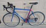 Gunnar Roadie - 580mm - Reynolds 853 Steel Road Bike
