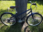 Jr Girls Schwinn Avely 24