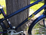 Jr Girls Schwinn Avely 24