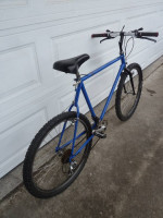 Old school Nishiki Pueblo mountain bike