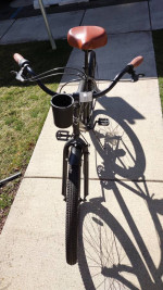 Cruiser 7spd. NEW