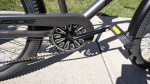 Cruiser 7spd. NEW