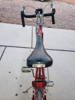 Schwinn Bike