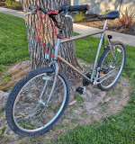 Dad Bike Restomod