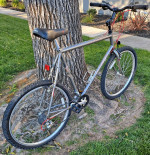 Dad Bike Restomod