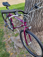 Vintage Fuji Mountain Bike Restomod