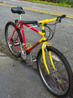 80’s Cycle Pro Millennium