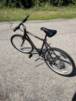 Sweet Giant iguana 630 great Commuter like new