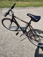 Sweet Giant iguana 630 great Commuter like new