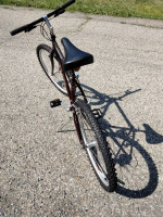 Sweet Giant iguana 630 great Commuter like new