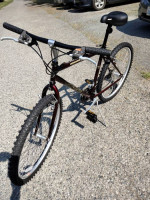 Sweet Giant iguana 630 great Commuter like new