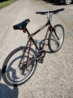 Sweet Giant iguana 630 great Commuter like new