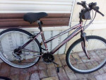 3 BIKES FOR SALE
