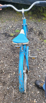 Vintage Raleigh 20" girls bike